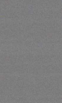 The Slayer - Book #2 of the Time Raiders