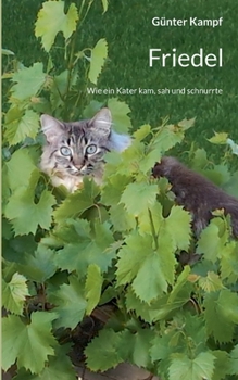Friedel: Wie ein Kater kam, sah und schnurrte