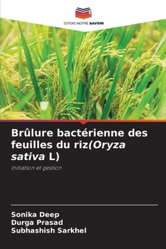 Paperback Brûlure bactérienne des feuilles du riz(Oryza sativa L) [French] Book