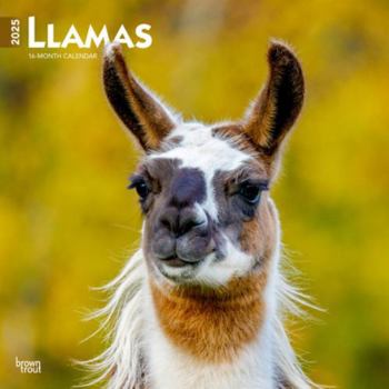 Calendar Llamas 2025 12 X 24 Inch Monthly Square Wall Calendar Plastic-Free Book