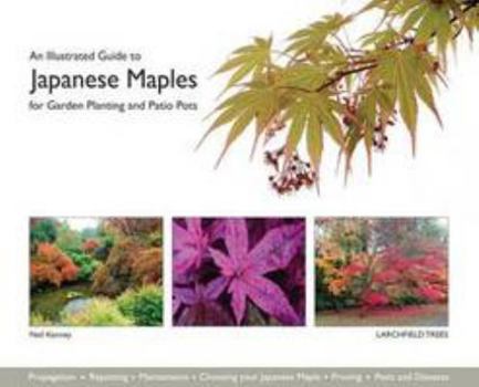 Paperback An Illustrated Guide to Japanese Maples for Garden Planting and Patio Pots Book