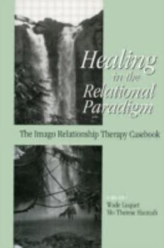 Hardcover Healing in the Relational Paradigm: The Imago Relationship Therapy Casebook Book