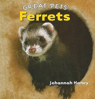 Ferrets - Book  of the Great Pets