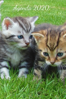 Agenda 2020: Hebdomadaire 1 Semaine par page Format A5 | Janvier 2020 à Décembre 2020 | Planificateur Organiseur Semainier avec Calendrier et Carnet ... Pour les Amoureux des Chats (French Edition)