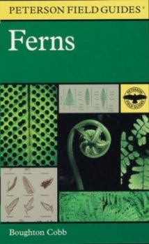 Paperback A Field Guide to Ferns and Their Related Families: Northeastern and Central North America with a Section on Species Also Found in the British Isles an Book