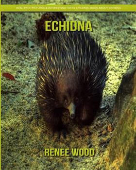 Paperback Echidna: Beautiful Pictures & Interesting Facts Children Book about Echidna Book