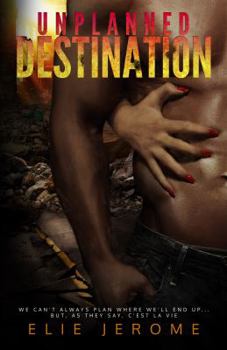 Paperback Unplanned Destination Book