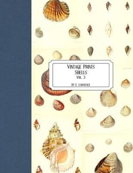 Paperback Vintage Prints: Shells: Vol. 3 Book