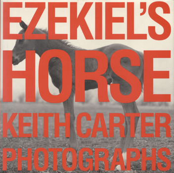 Hardcover Ezekiel's Horse Book