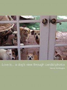 Hardcover Love is...a dog's view through candid photos Book