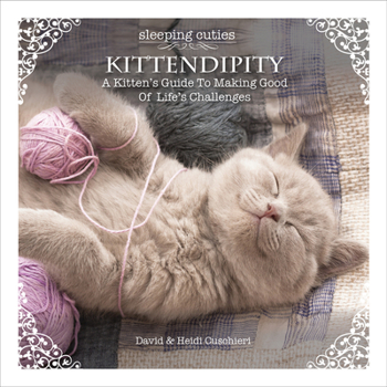 Hardcover Kittendipity: A Kitten's Guide to Making Good of Life's Challenges Book