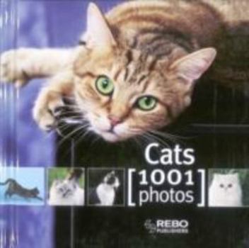 Cats 1001 Photos