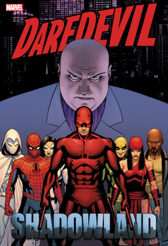 Daredevil: Shadowland Omnibus - Book  of the Shadowland: Blood on the Streets