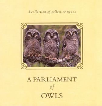 Paperback A Parliament of Owls Book