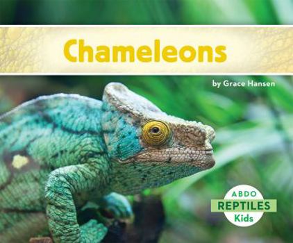 Camaleones / Chameleons - Book  of the Reptiles
