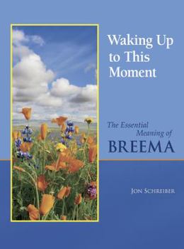 Hardcover Waking Up to This Moment: The Essential Meaning of Breema Book