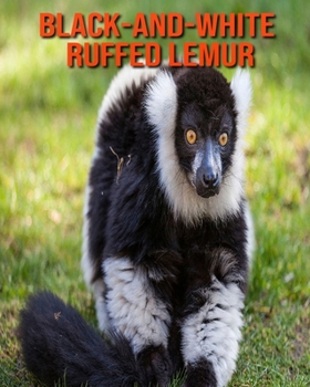 Paperback Black-and-White Ruffed Lemur: Fun Learning Facts About Black-and-White Ruffed Lemur Book