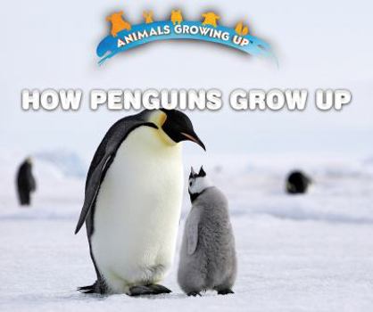 Paperback How Penguins Grow Up Book