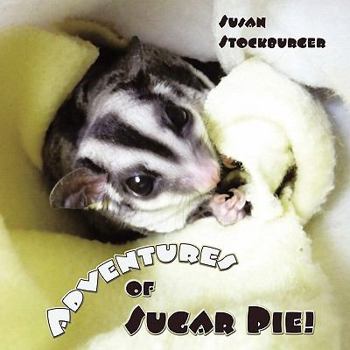 Paperback Adventures of Sugar Pie! Book