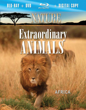 Blu-ray Nature: Extraordinary Animals Africa Book