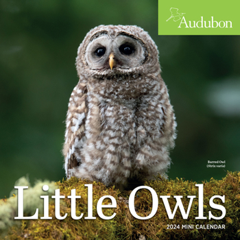 Calendar Audubon Little Owls Mini Wall Calendar 2024: A Year of Fluffy and Round Owls Book