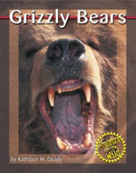 Hardcover Grizzly Bears Book