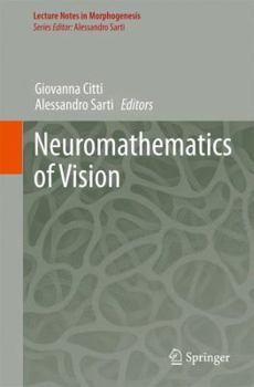 Hardcover Neuromathematics of Vision Book