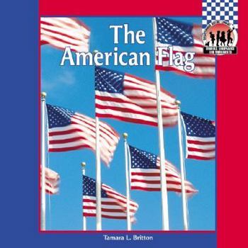 Paperback American Flag Book