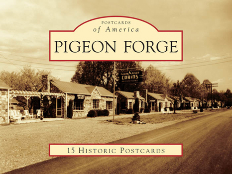 Ring-bound Pigeon Forge Book