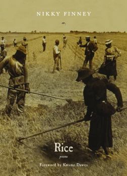 Paperback Rice Book