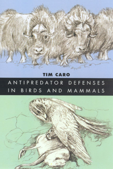 Paperback Antipredator Defenses in Birds and Mammals Book