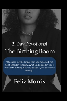 Paperback The Birthing Room Book