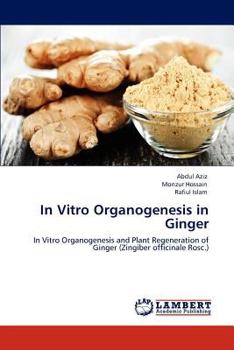 Paperback In Vitro Organogenesis in Ginger Book