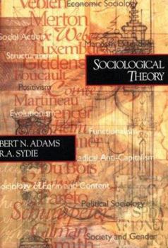 Paperback Sociological Theory Book