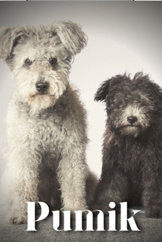 Pumik: Dog breed overview and guide