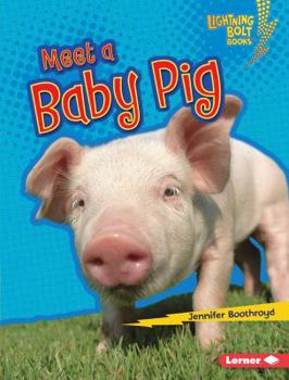 Library Binding Meet a Baby Pig Book