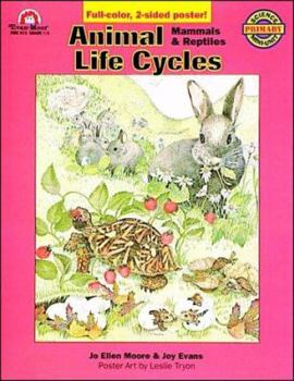 Paperback Animal Life Cycles: Mammals & Reptiles Book