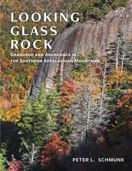 Hardcover Looking Glass Rock Book