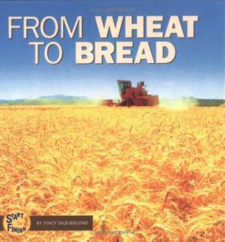 Hardcover From Wheat to Bread Book