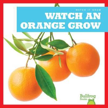 Library Binding Watch an Orange Grow Book