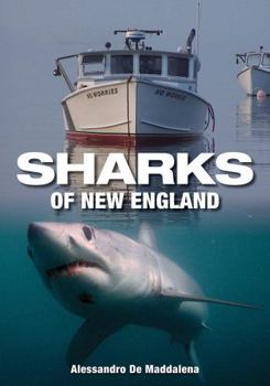 Paperback Sharks of New England Book