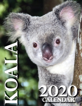 Paperback Koala 2020 Calendar Book