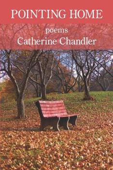 Paperback Pointing Home Book