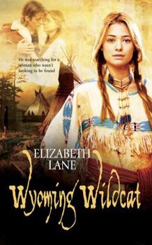 Wyoming Wildcat - Book #2 of the Tolliver Family of Wyoming
