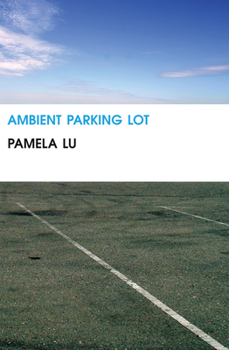 Paperback Ambient Parking Lot Book