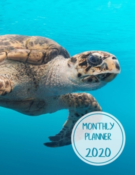 Monthly planner 2020: Large. Month on 2 pages. Incl. 2020 Calendar, Important dates section and Notes pages. 8.5" x 11.0" (Letter size). (Sea turtle swimming. Soft matte cover).
