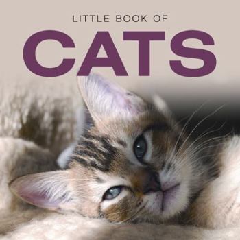 Hardcover Little Book of Cats Book