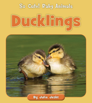 Paperback Ducklings Book