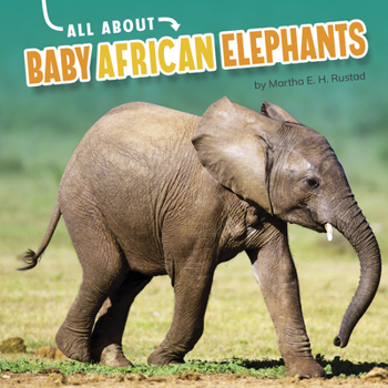 Hardcover All about Baby African Elephants Book