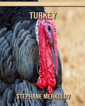 Turkey: An Amazing Animal Picture Book for Kids